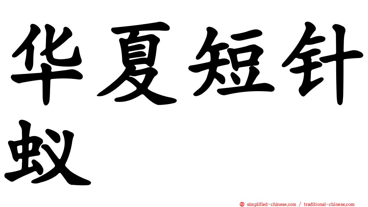 华夏短针蚁
