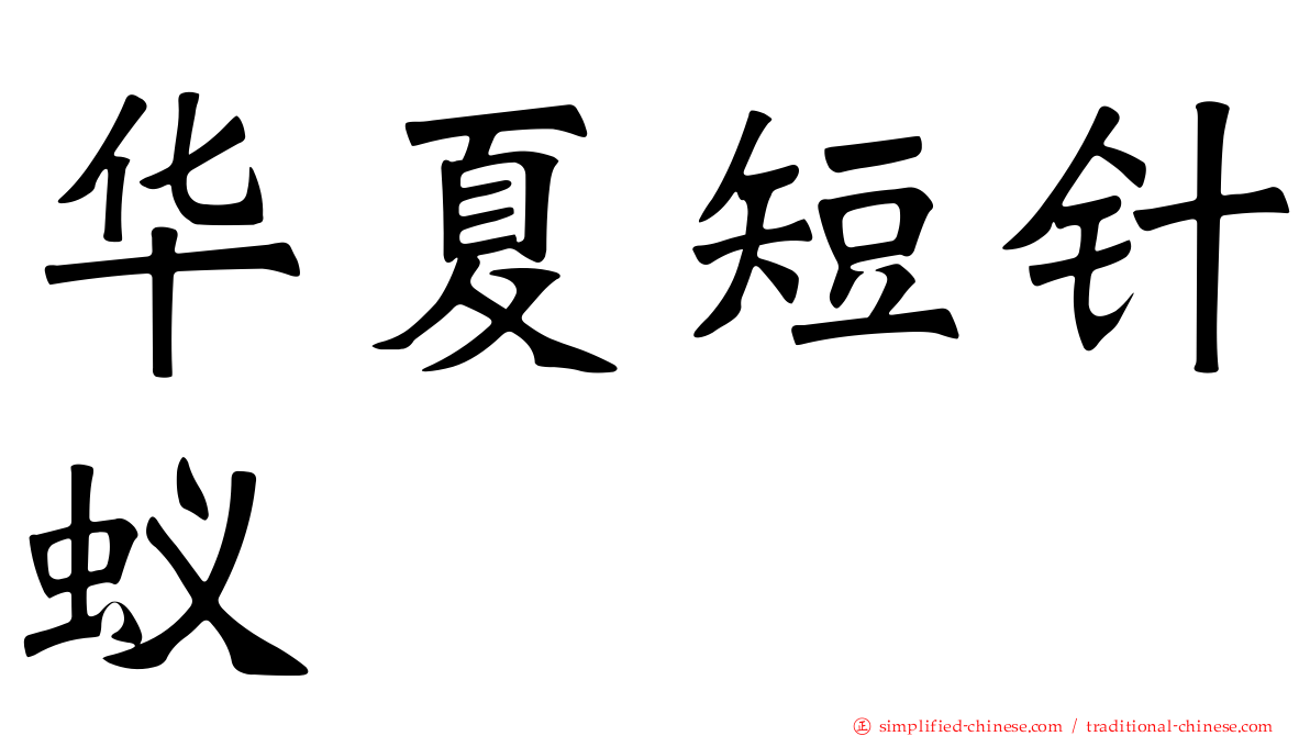 华夏短针蚁