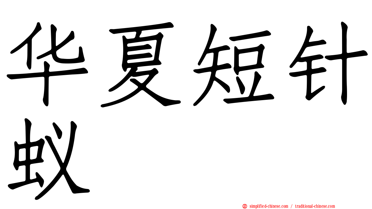 华夏短针蚁
