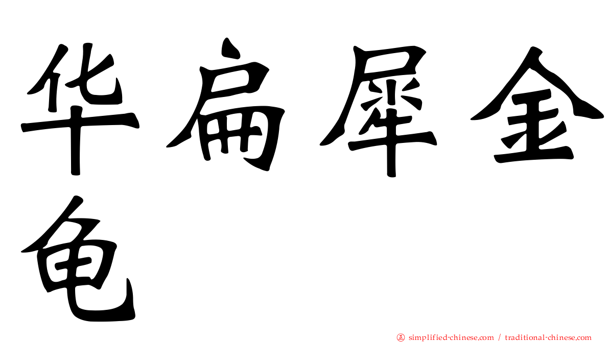 华扁犀金龟