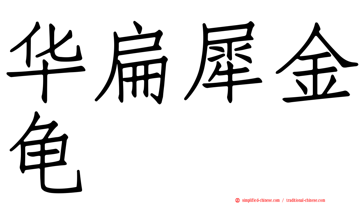 华扁犀金龟