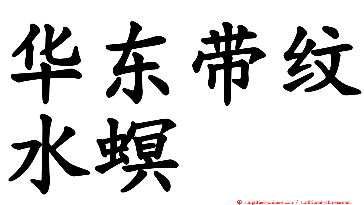 华东带纹水螟