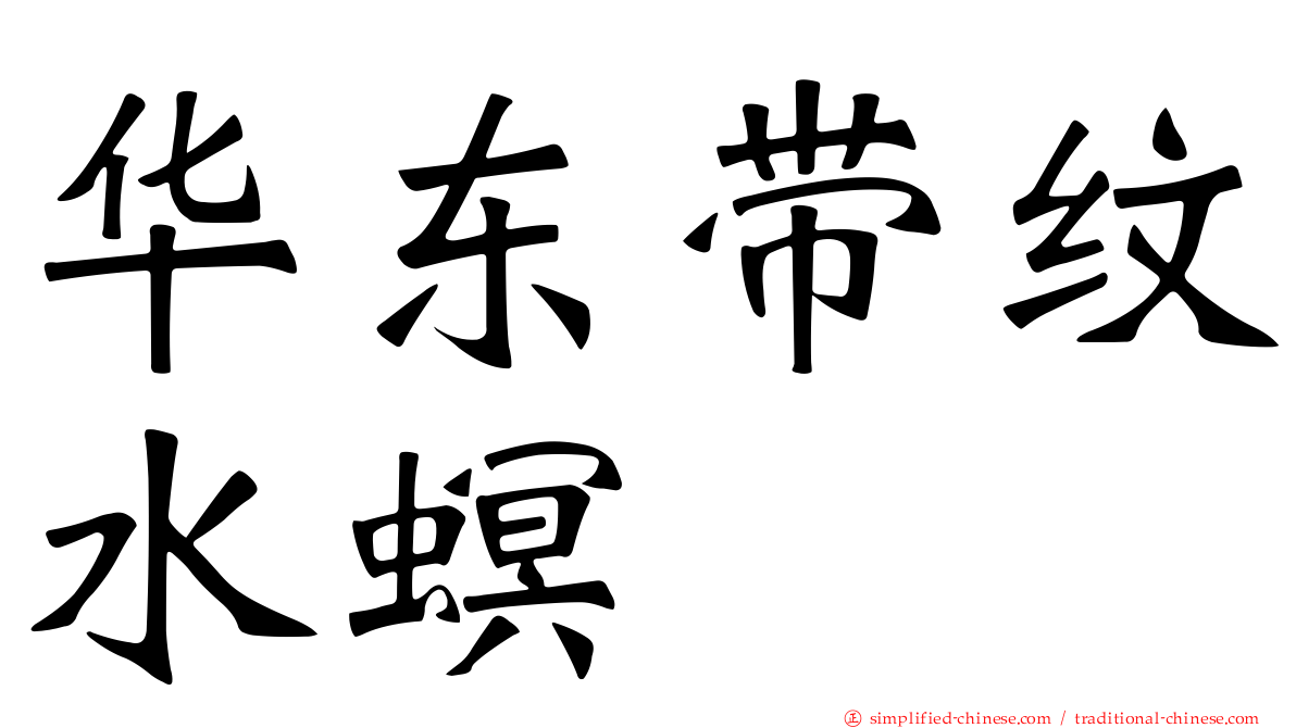 华东带纹水螟