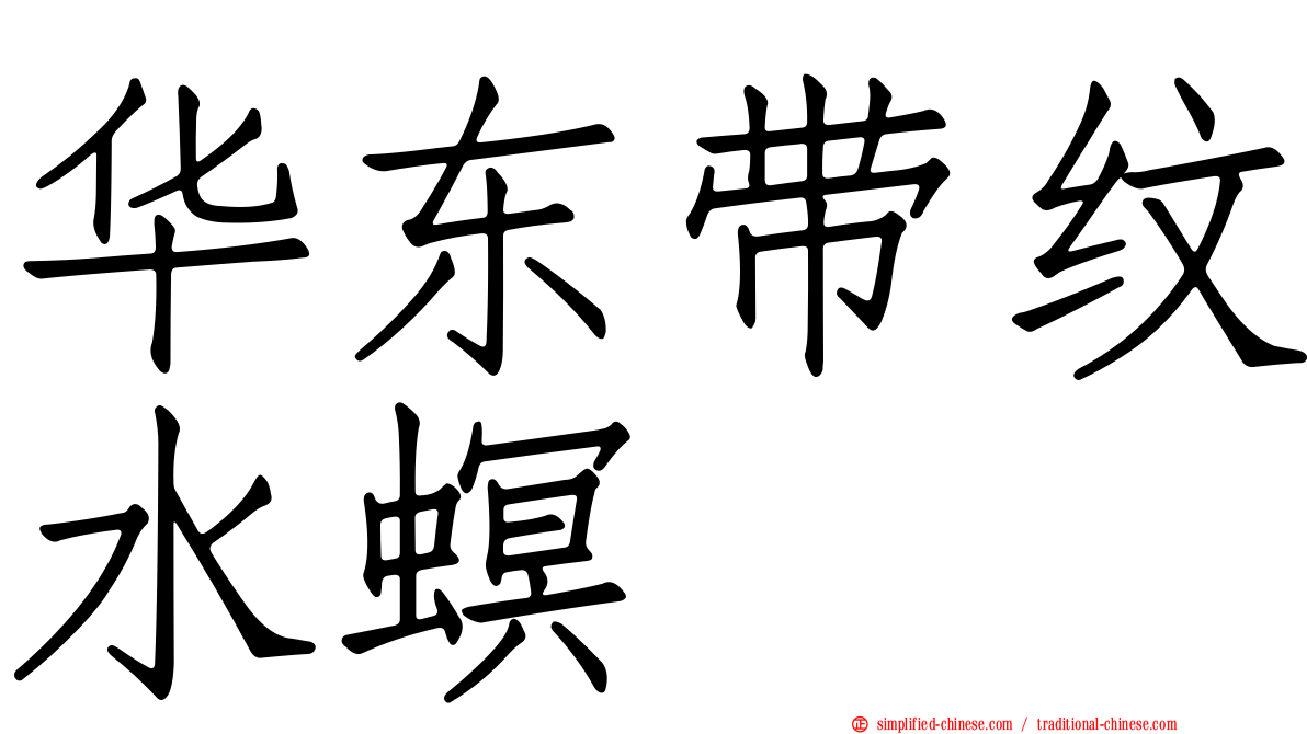 华东带纹水螟