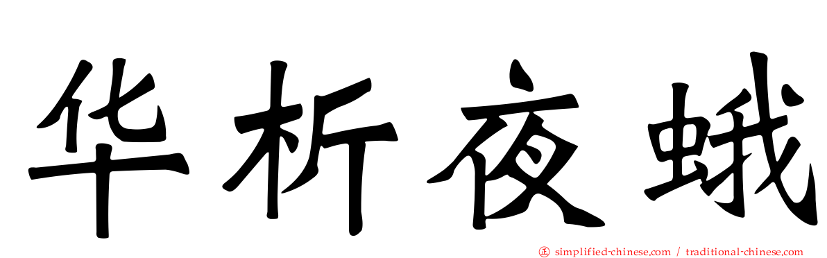 华析夜蛾