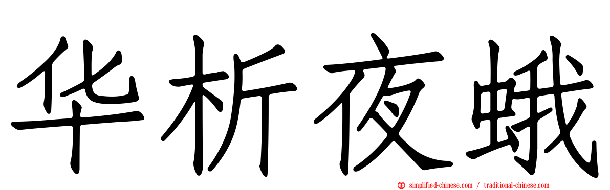 华析夜蛾