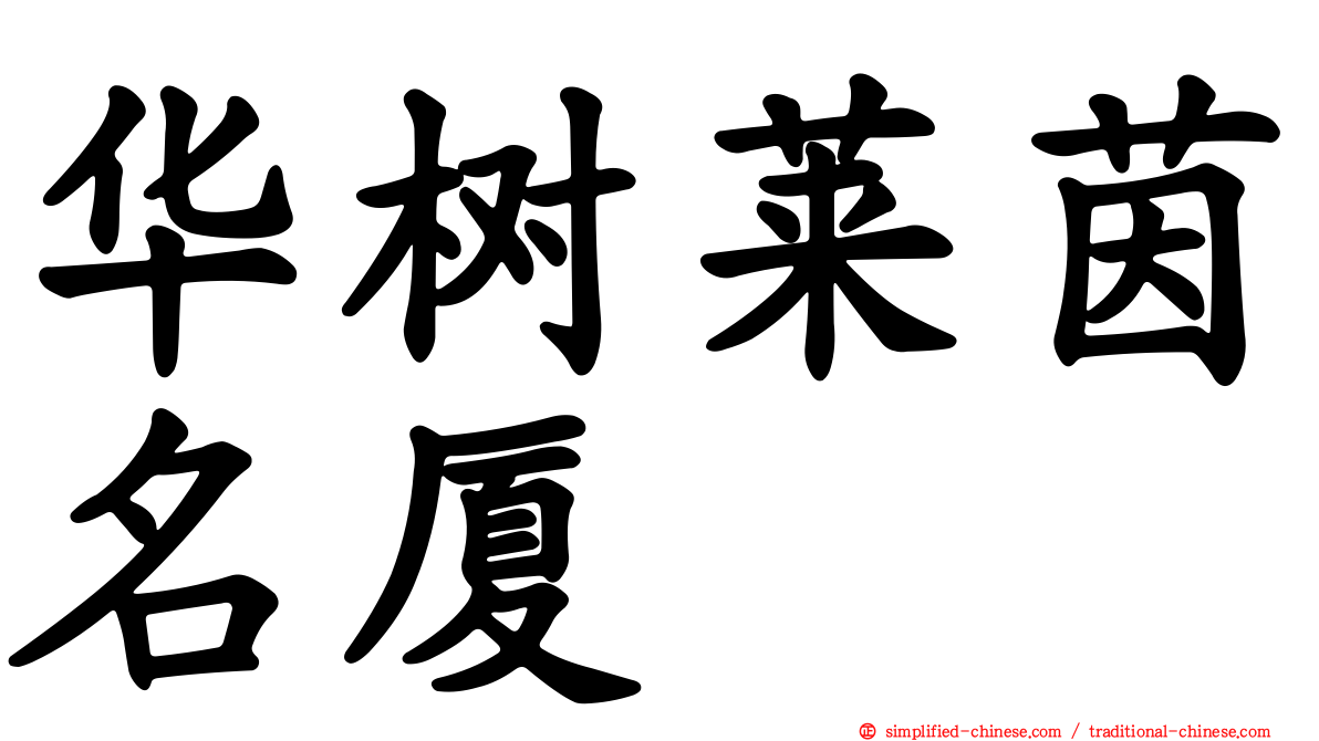 华树莱茵名厦