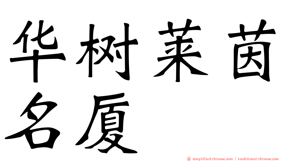 华树莱茵名厦
