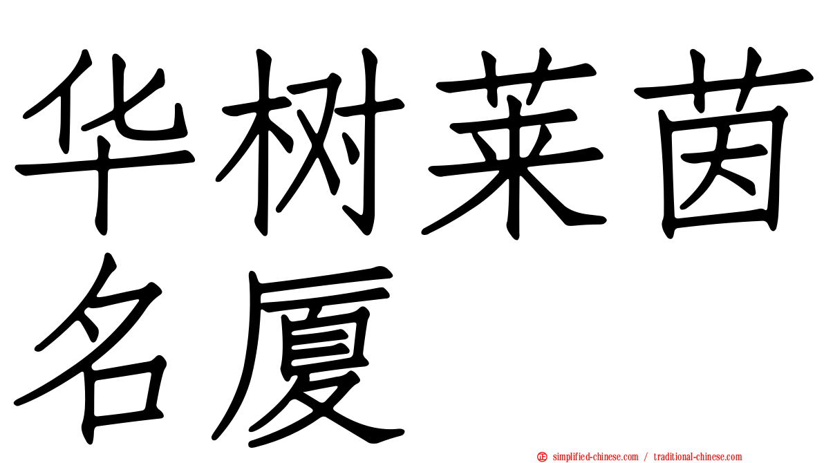 华树莱茵名厦