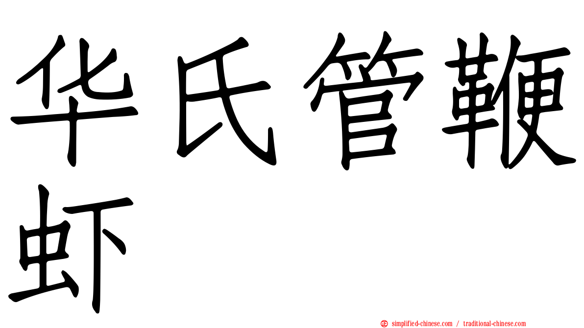 华氏管鞭虾