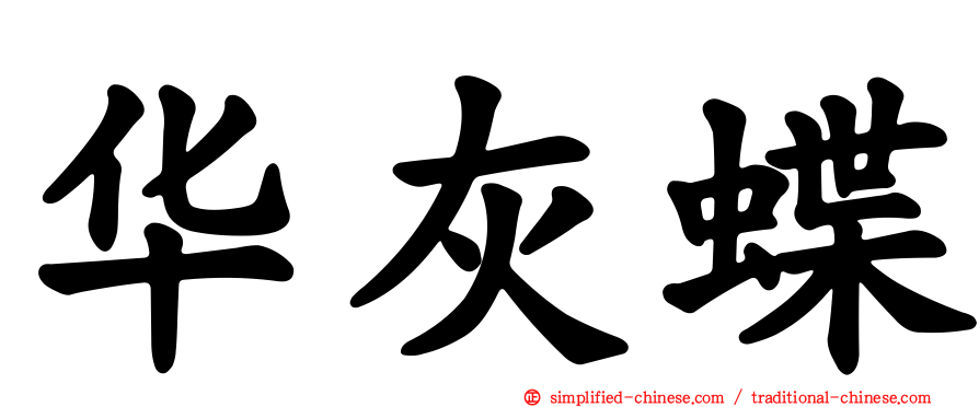华灰蝶