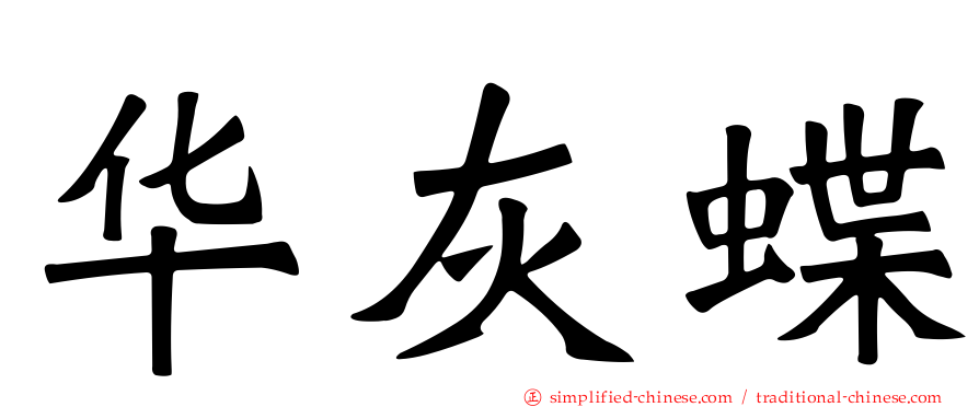 华灰蝶