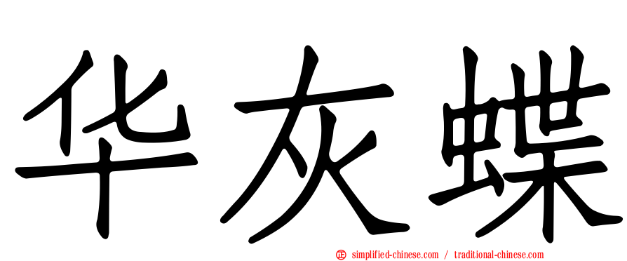 华灰蝶