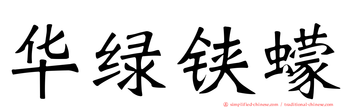 华绿铗蠓
