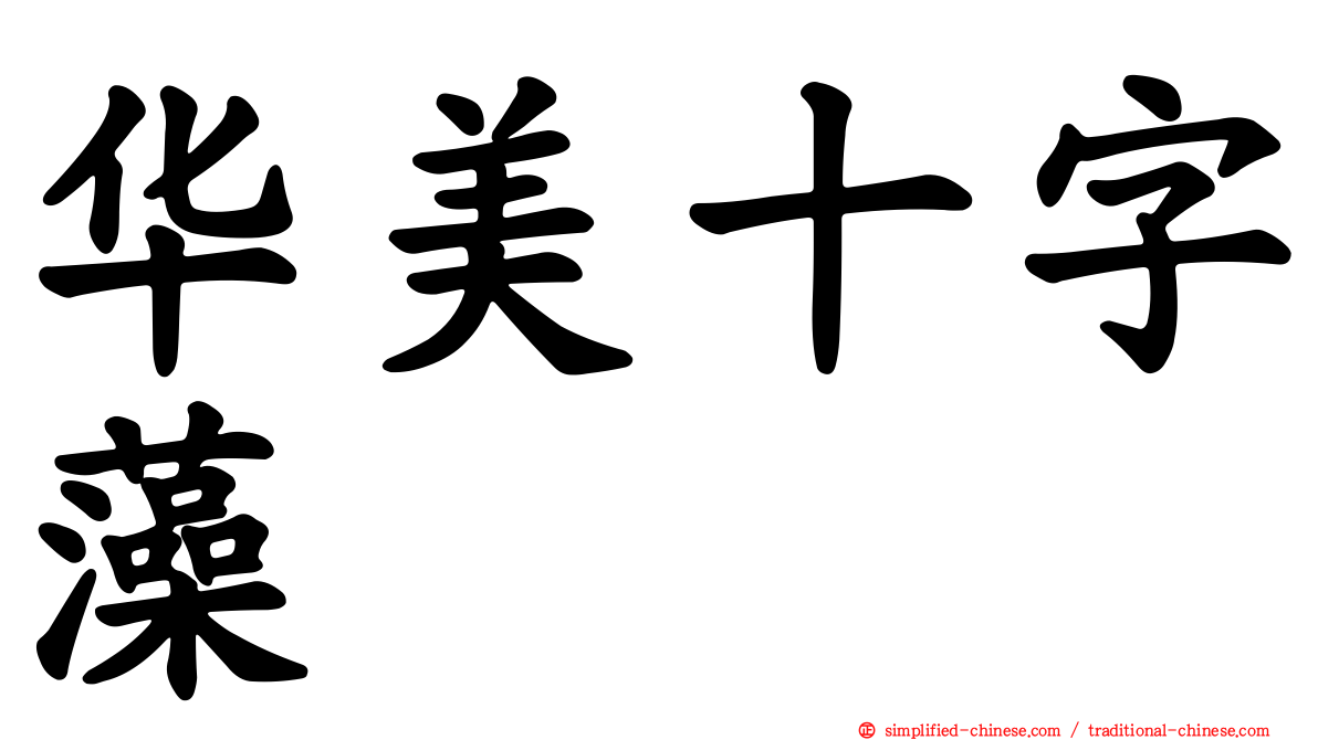 华美十字藻