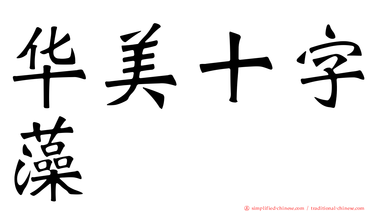 华美十字藻