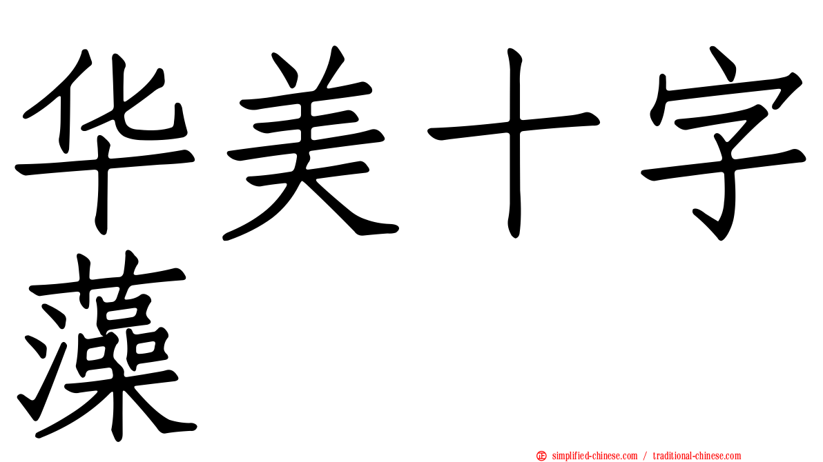 华美十字藻
