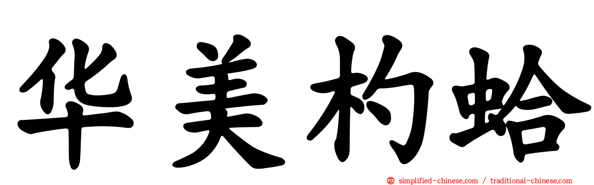 华美杓蛤