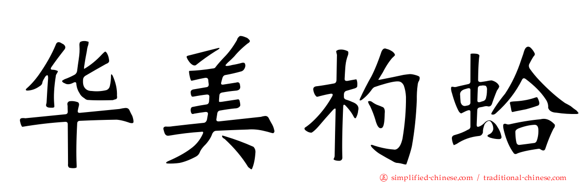 华美杓蛤