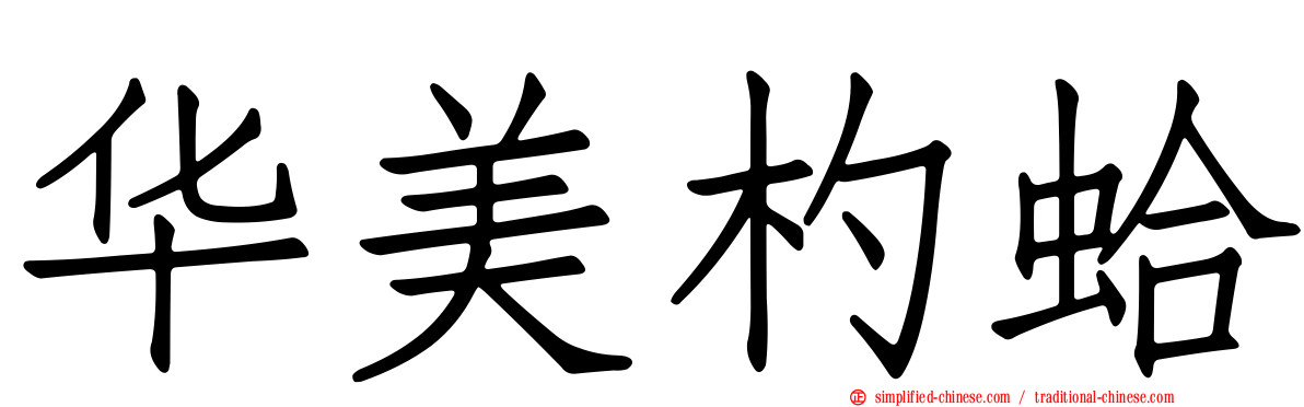 华美杓蛤