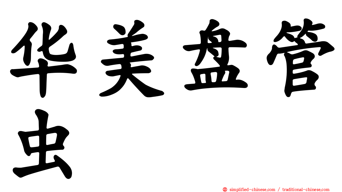 华美盘管虫