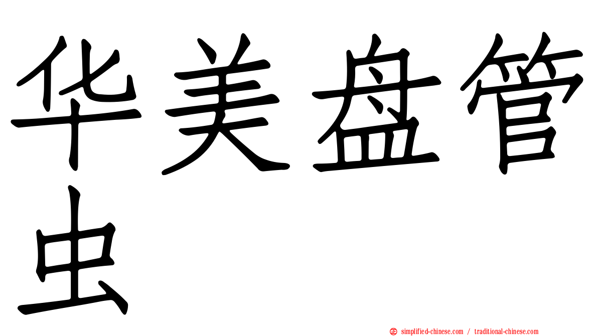 华美盘管虫
