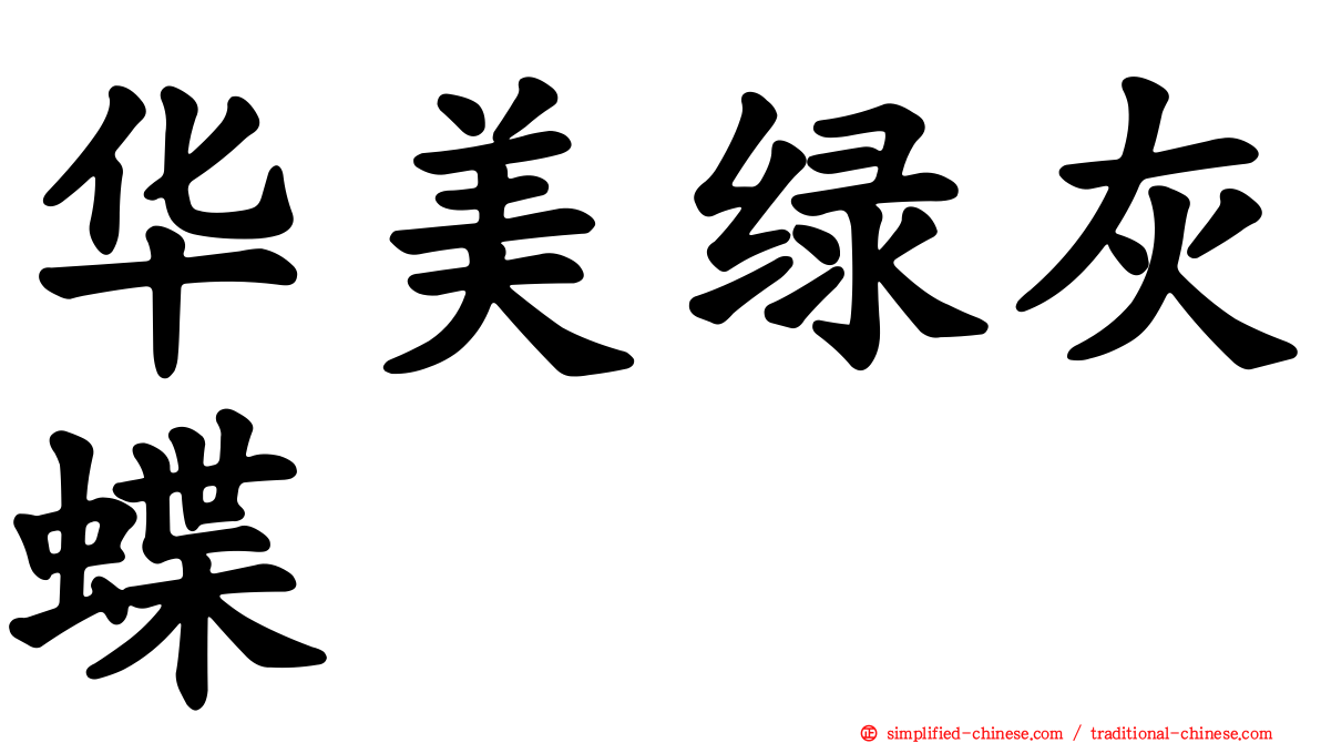 华美绿灰蝶