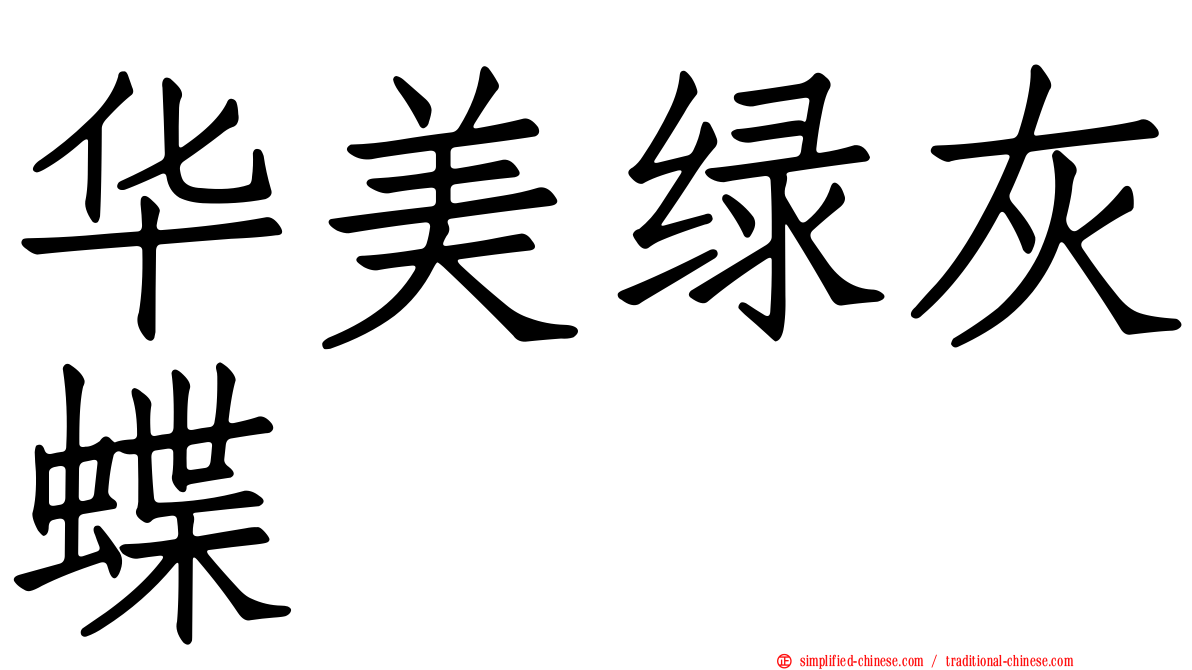 华美绿灰蝶