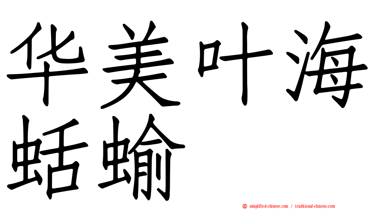 华美叶海蛞蝓