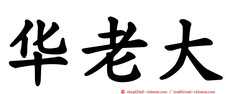 华老大