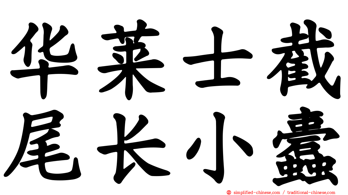 华莱士截尾长小蠹