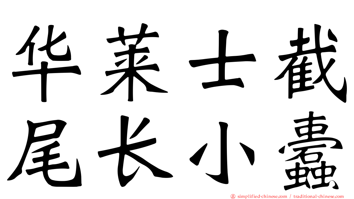 华莱士截尾长小蠹