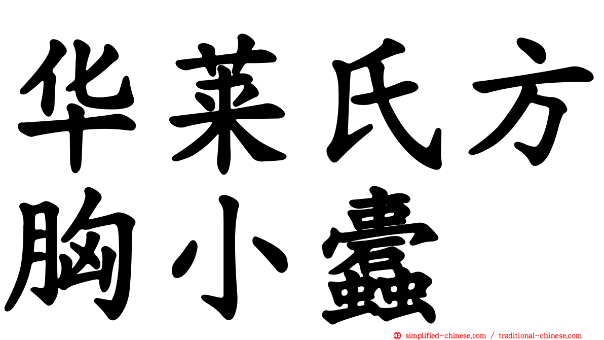 华莱氏方胸小蠹