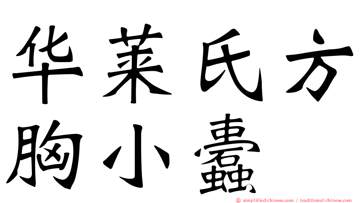 华莱氏方胸小蠹