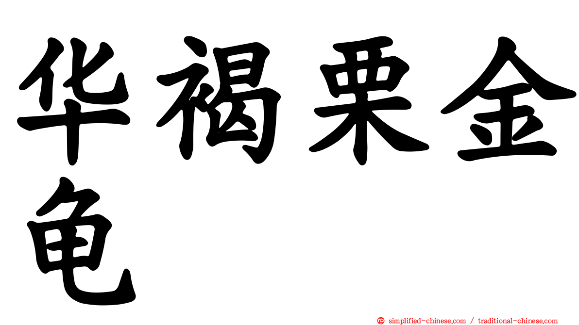 华褐栗金龟