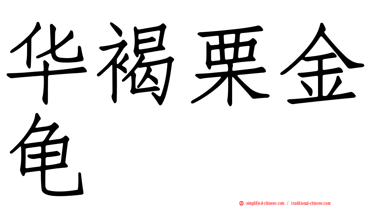 华褐栗金龟