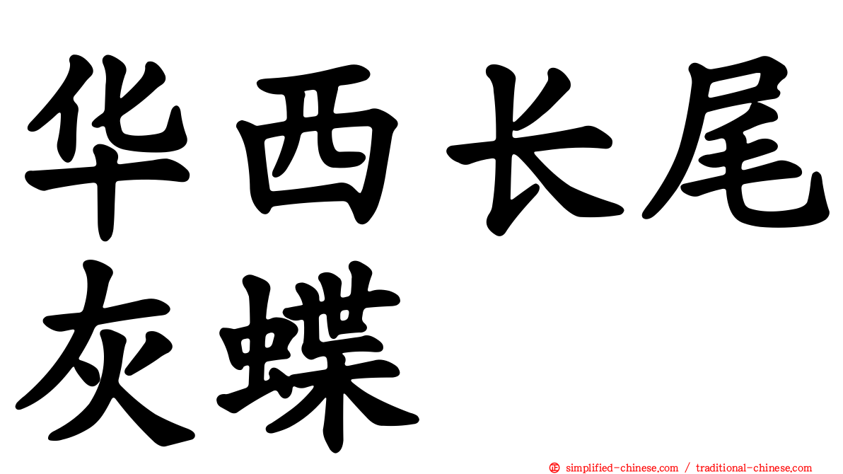 华西长尾灰蝶