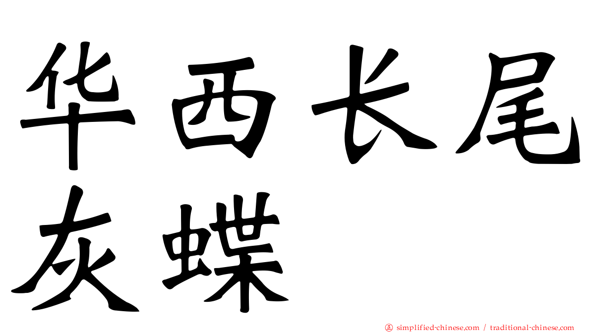 华西长尾灰蝶