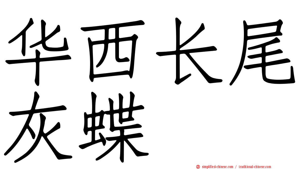 华西长尾灰蝶