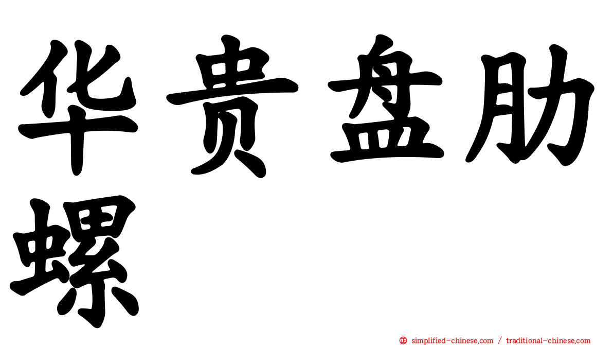 华贵盘肋螺