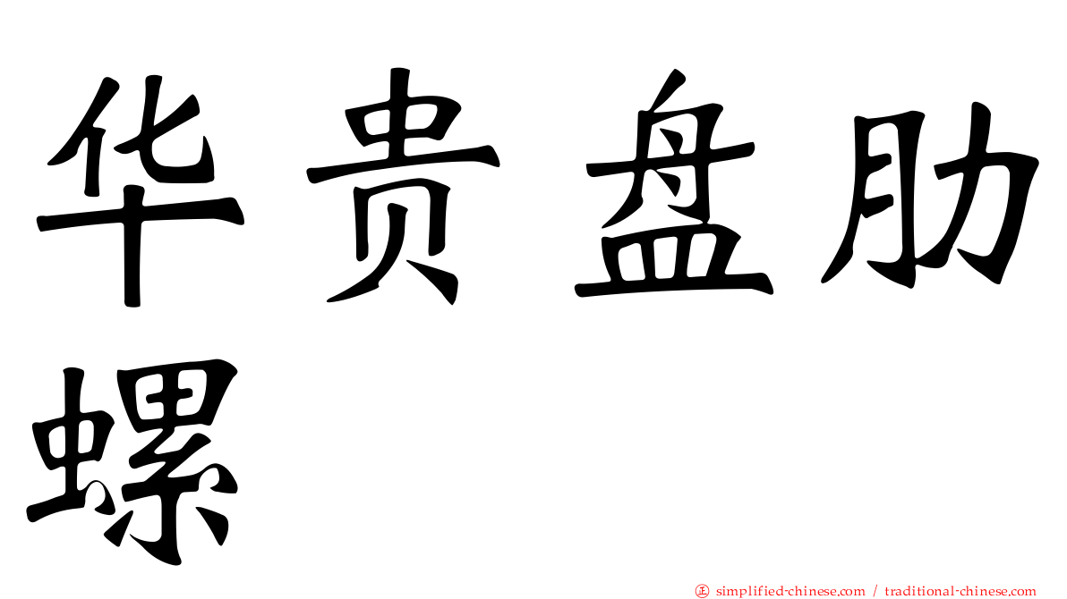 华贵盘肋螺
