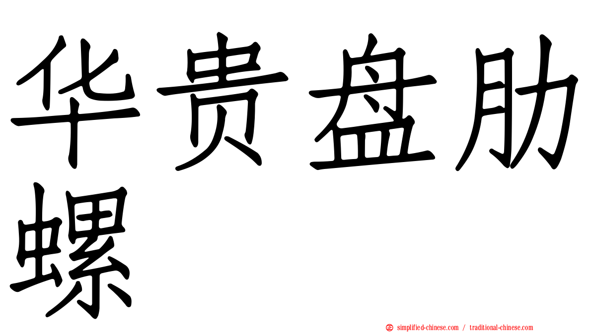 华贵盘肋螺