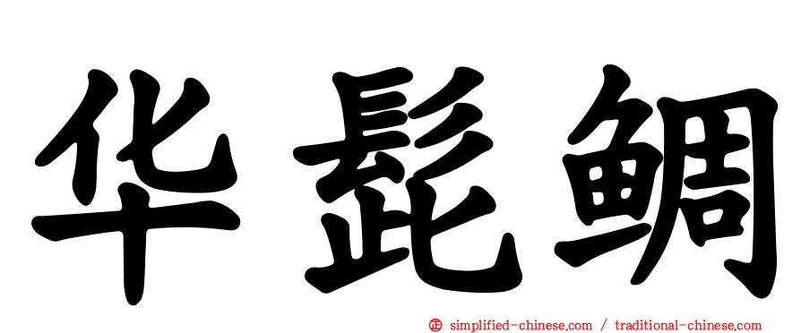 华髭鲷