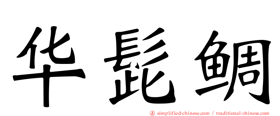 华髭鲷
