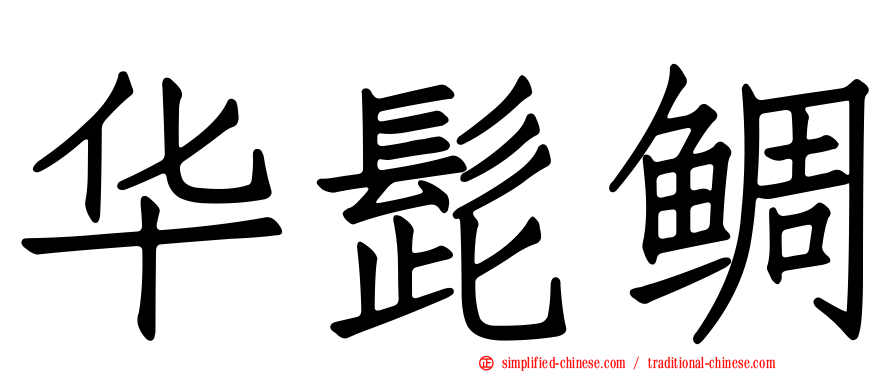 华髭鲷