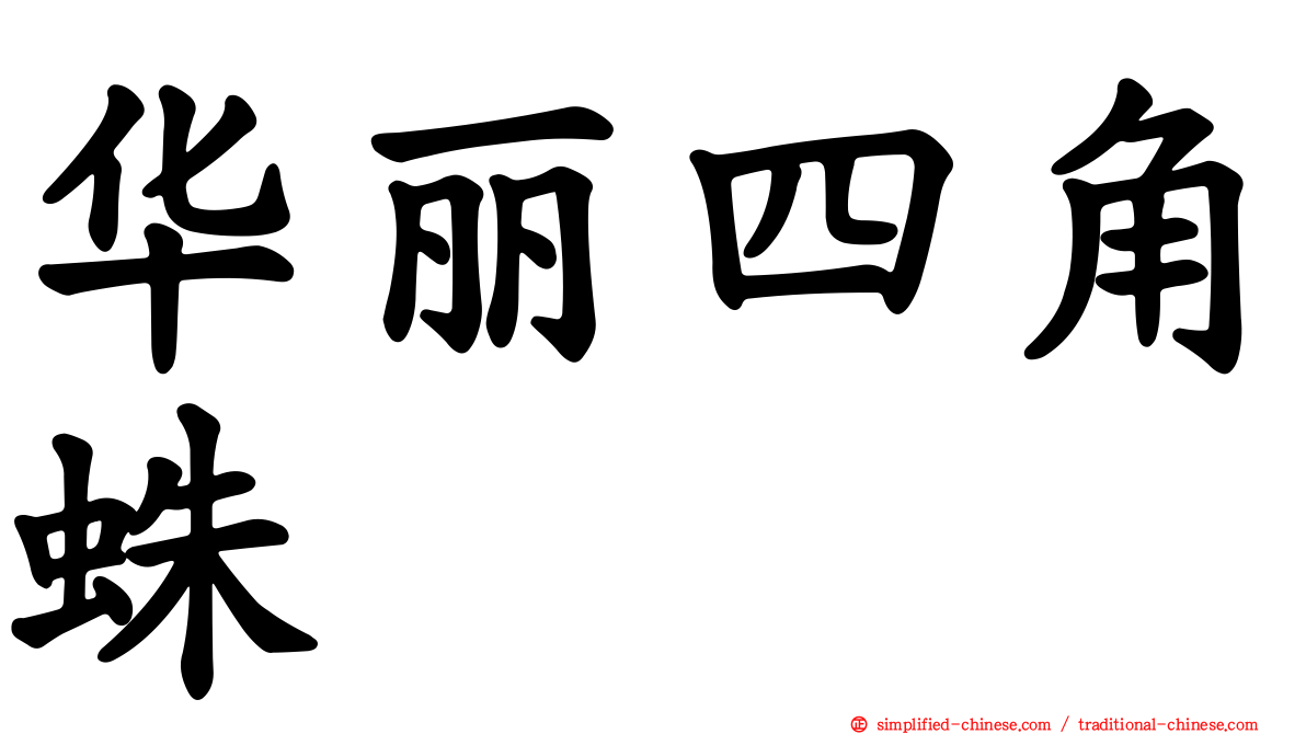 华丽四角蛛