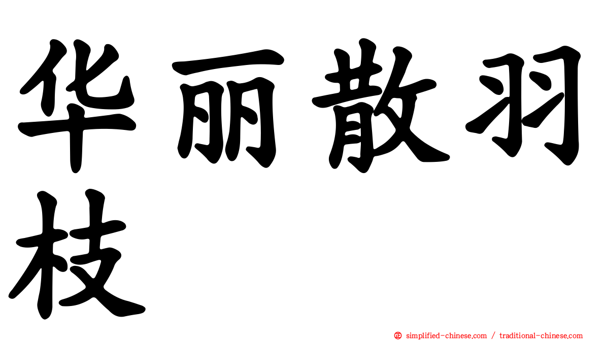 华丽散羽枝