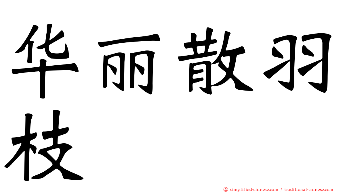 华丽散羽枝