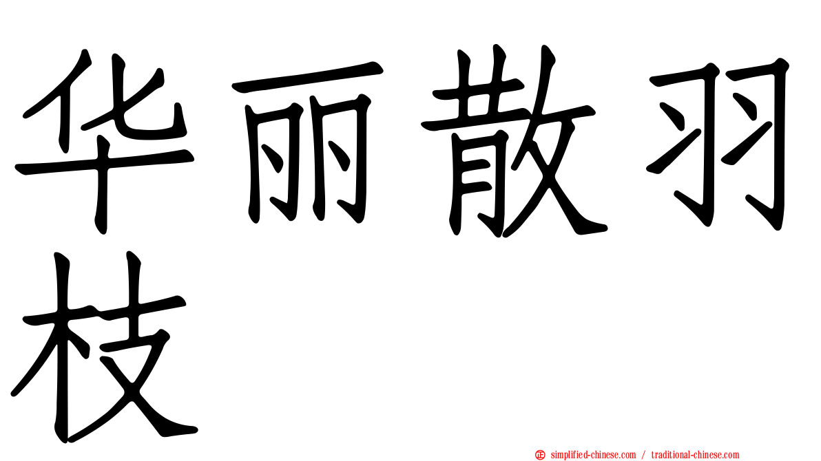 华丽散羽枝