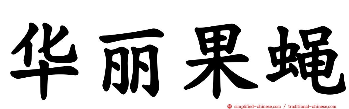 华丽果蝇